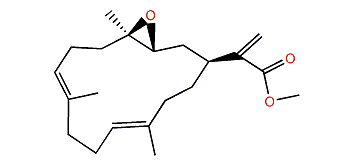 Pseudoplexauric acid methyl ester